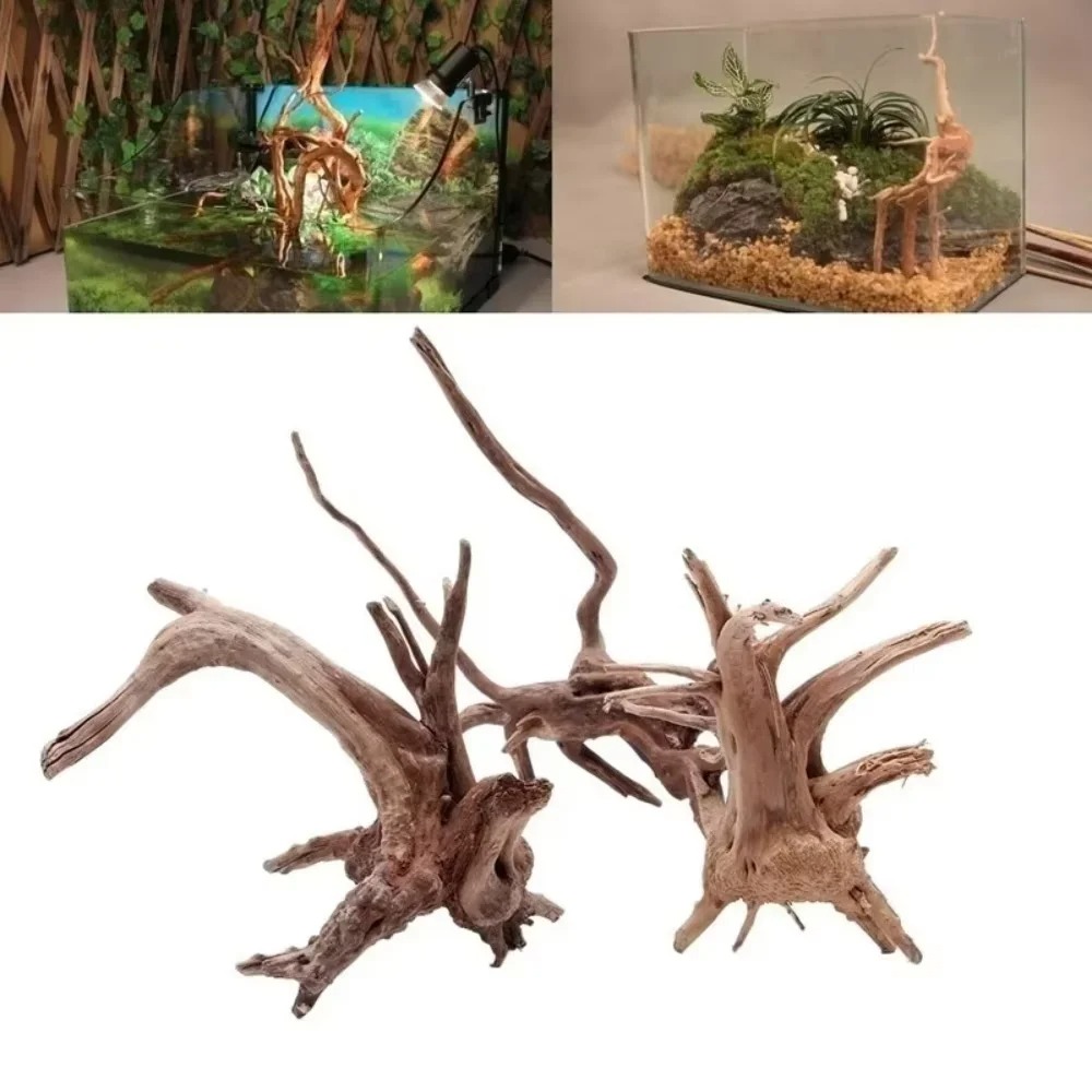 Aquarium Moss - ไม้ลอยน้ำธรรมชาติขนาด 15-20 ซม. สำหรับตกแต่งตู้ปลา - ของตกแต่งตู้ปลาคุณภาพพรีเมียม