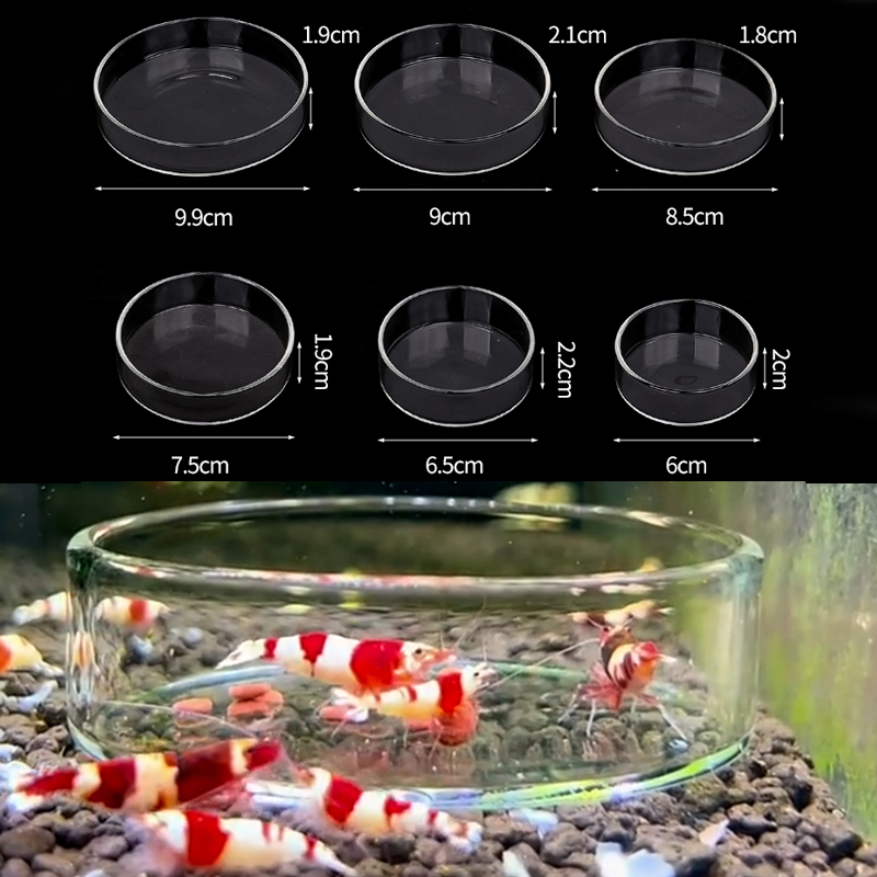 Aquarium Fertilizer - กุ้งจานให้อาหารแก้วโปร่งใสสูงจานให้อาหารปลาสําหรับถัง CLEAR Feeder ชาม Aquarium Fish