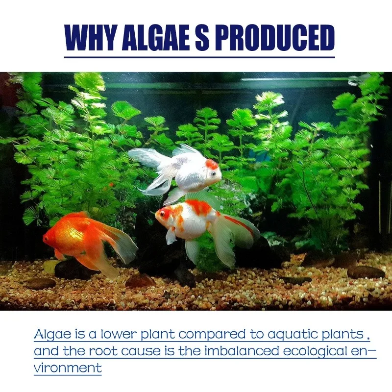 สารกำจัดสาหร่ายประสิทธิภาพสูง  - Aquarium Moss บทวิจารณ์และราคา