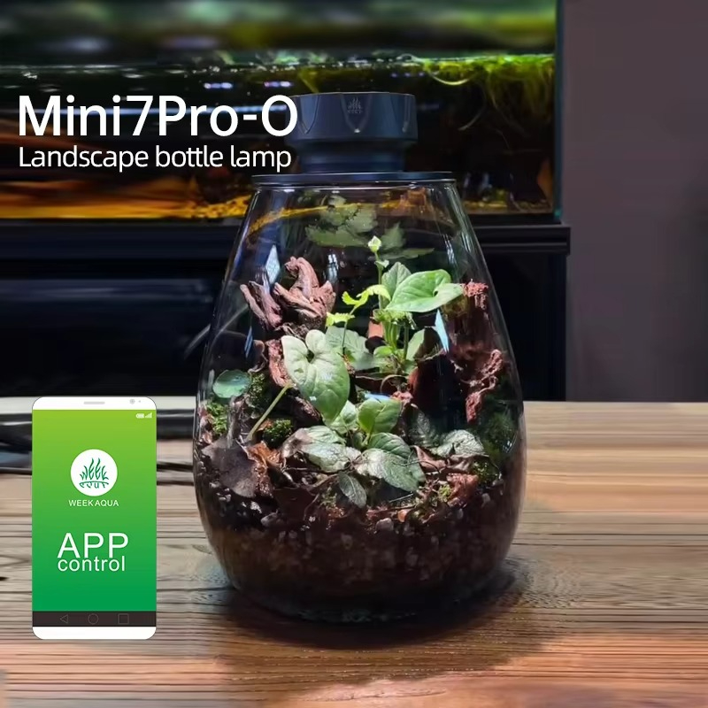 ไฟตกแต่งตู้ไม้น้ำแบบ COB พร้อม - Planted Tank บทวิจารณ์และราคา