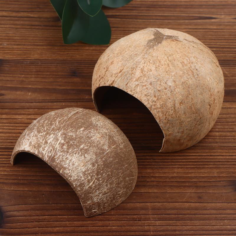 ตกแต่งตู้ปลาและตู้เลี้ยงสัตว์ด - Aquarium Driftwood บทวิจารณ์และราคา