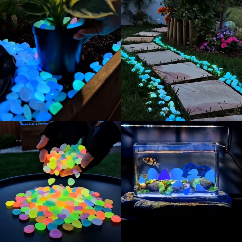 หินเรืองแสงหลากสีสันสำหรับตกแต - Planted Tank บทวิจารณ์และราคา