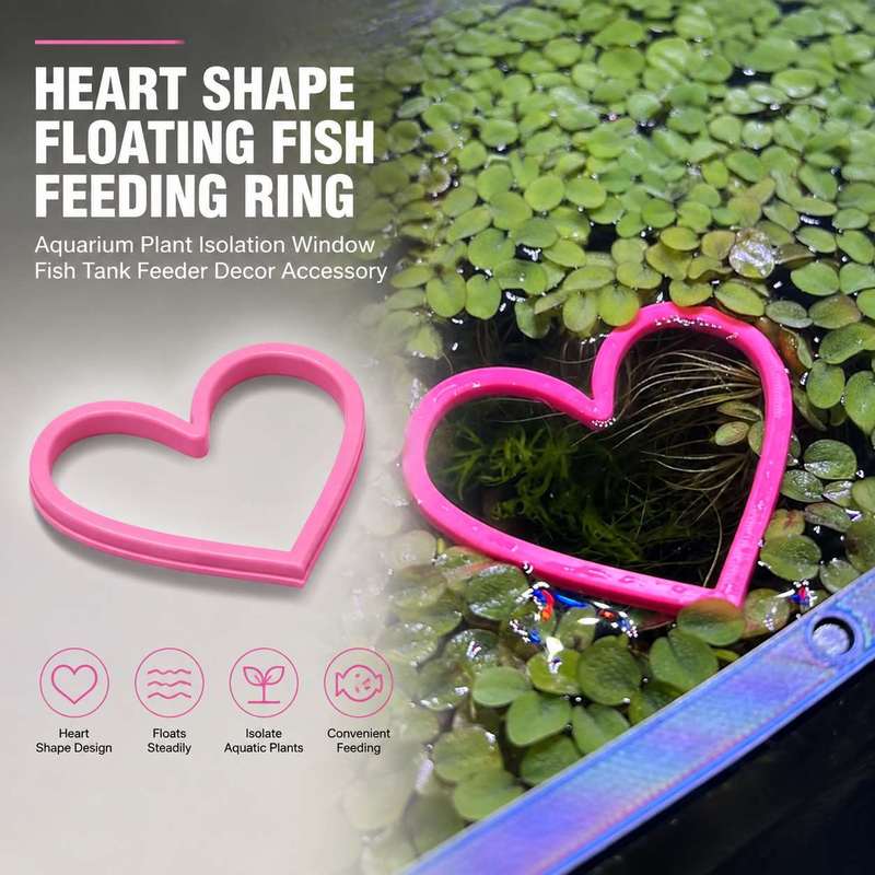วงแหวนให้อาหารปลาแบบลอยน้ำรูปห - Aquarium Fertilizer บทวิจารณ์และราคา