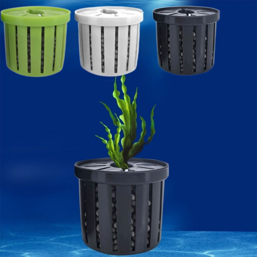 ขาตั้งต้นไม้สำหรับน้ำ ตะกร้าปล - Plant Aquarium Pot บทวิจารณ์และราคา