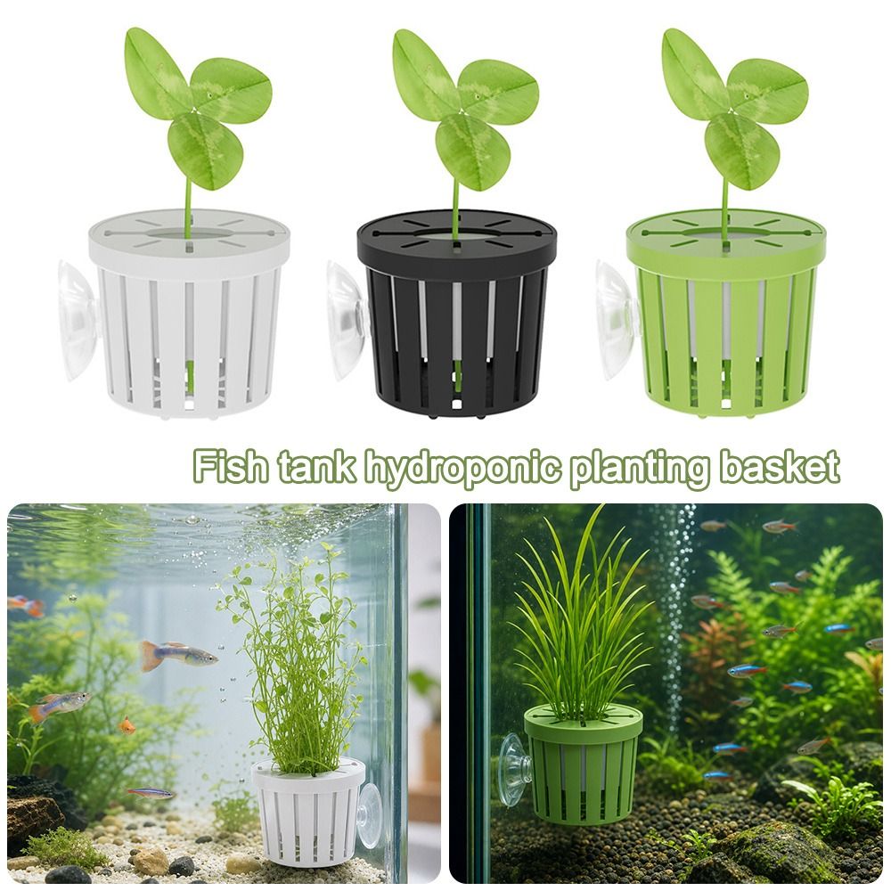 ขาตั้งต้นไม้สำหรับน้ำ ตะกร้าปล - Plant Aquarium Pot บทวิจารณ์และราคา