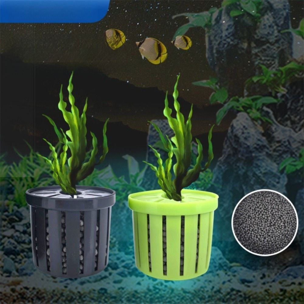 ขาตั้งต้นไม้สำหรับน้ำ ตะกร้าปล - Plant Aquarium Pot บทวิจารณ์และราคา