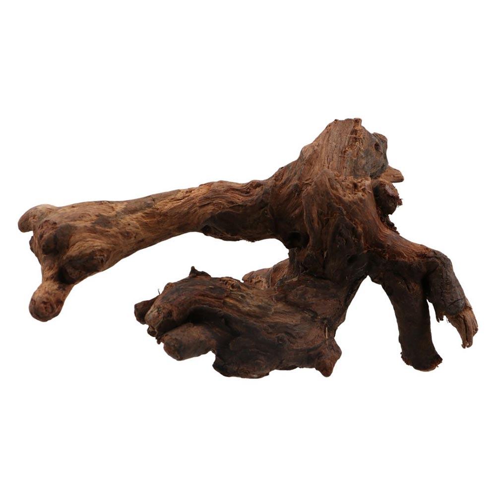 ไม้ปะการังรูปทรงแปลกตา ไม้ธรรม - Aquarium Driftwood บทวิจารณ์และราคา