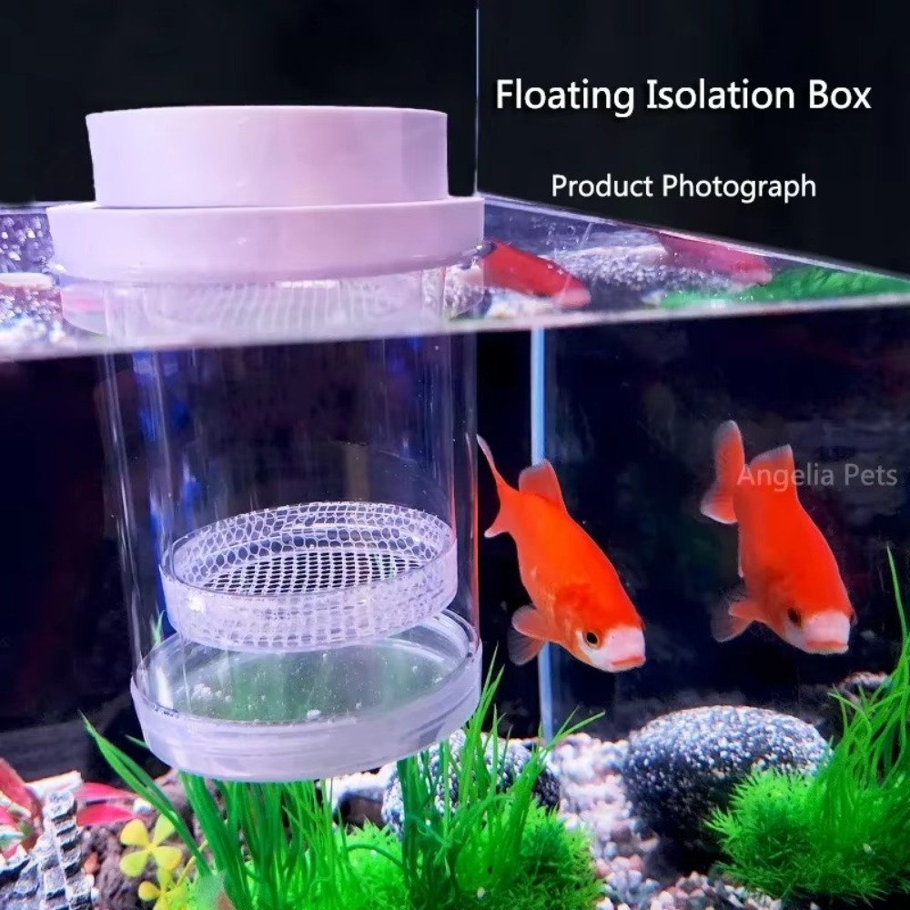 พลาสติกลอยปลา Breeding การแยกก - Aquarium Fertilizer บทวิจารณ์และราคา