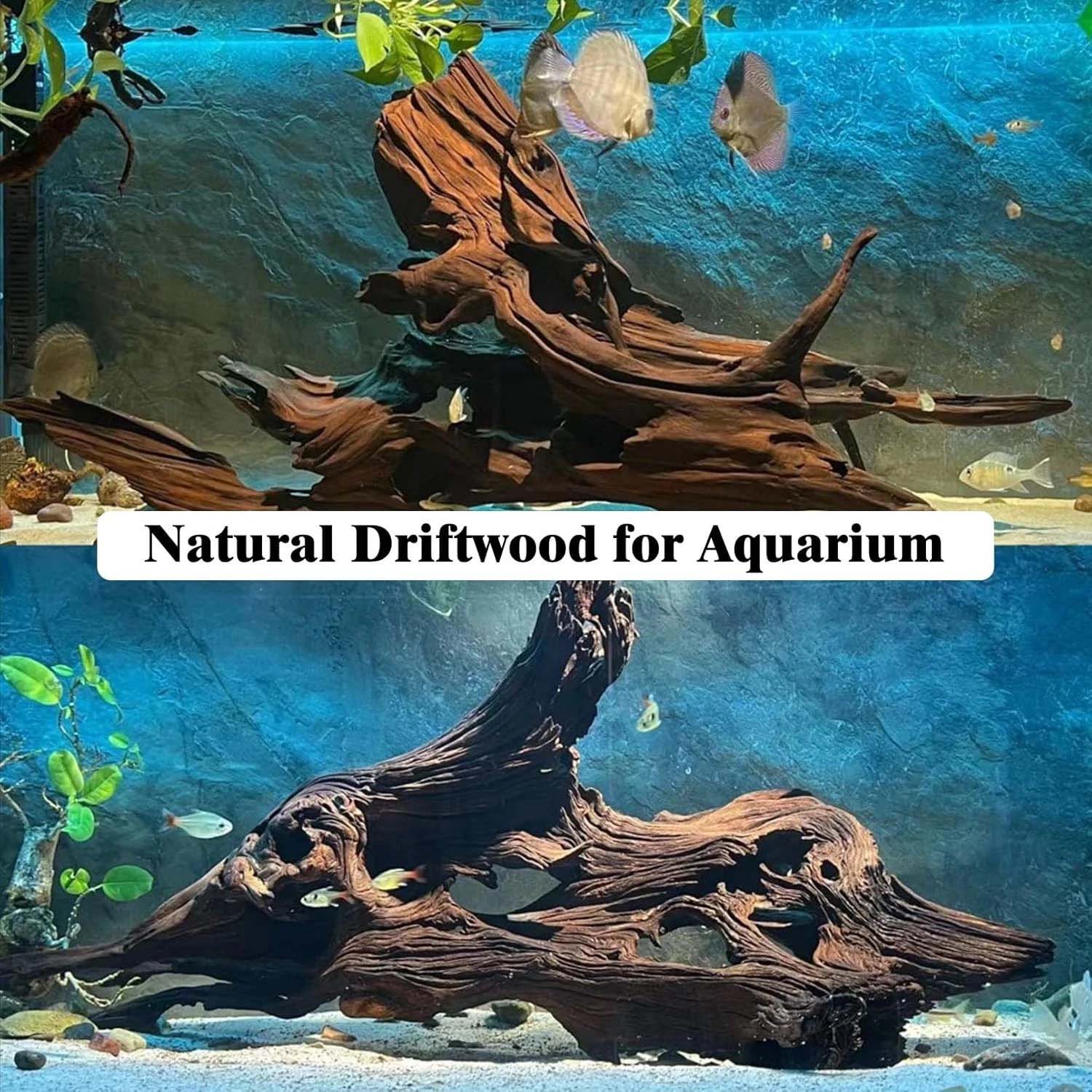 15-20 ซม. 1 ชิ้น ไม้ลอยน้ำธรรม - Aquarium Plant Substrate บทวิจารณ์และราคา