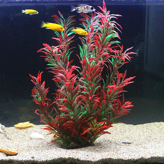 50 ซม.ถังปลาประดิษฐ์พืชหายากAq - Planted Tank บทวิจารณ์และราคา