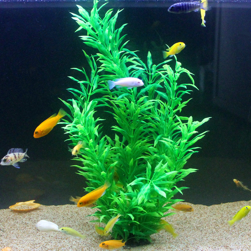 50 ซม.ถังปลาประดิษฐ์พืชหายากAq - Planted Tank บทวิจารณ์และราคา