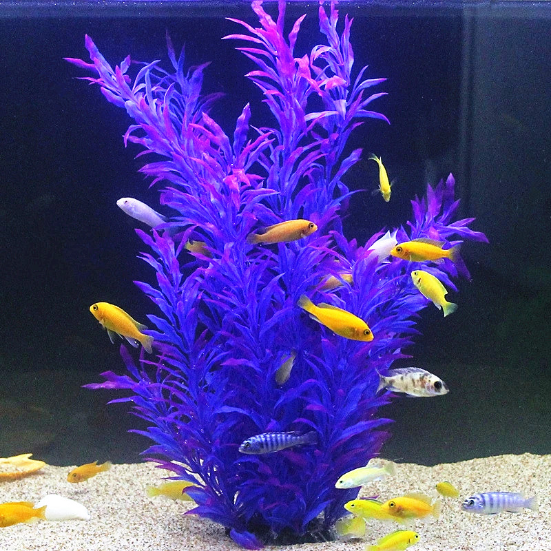 50 ซม.ถังปลาประดิษฐ์พืชหายากAq - Planted Tank บทวิจารณ์และราคา