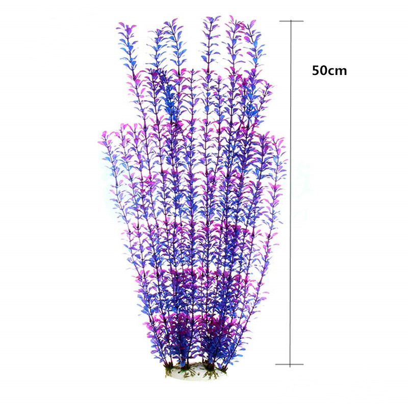 50 ซม.ถังปลาประดิษฐ์พืชหายากAq - Planted Tank บทวิจารณ์และราคา