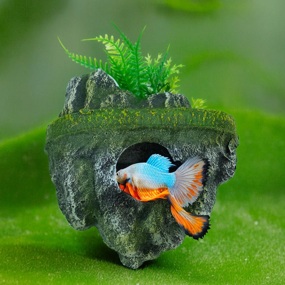 ที่หลบภัยสำหรับกุ้ง รูปทรงหินล - Aquarium Moss บทวิจารณ์และราคา