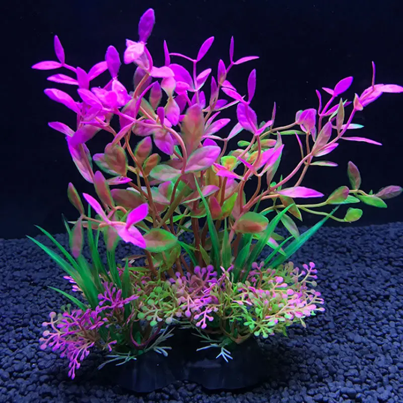 Aquarium ประดิษฐ์ตกแต่งพืชจําล - Live Plant Aquarium บทวิจารณ์และราคา