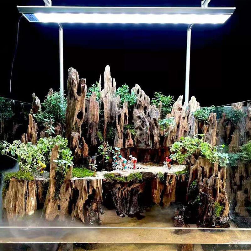 △   ไม้ตกแต่งตู้ปลา ไม้ลอยน้ำ  - Aquarium Driftwood บทวิจารณ์และราคา