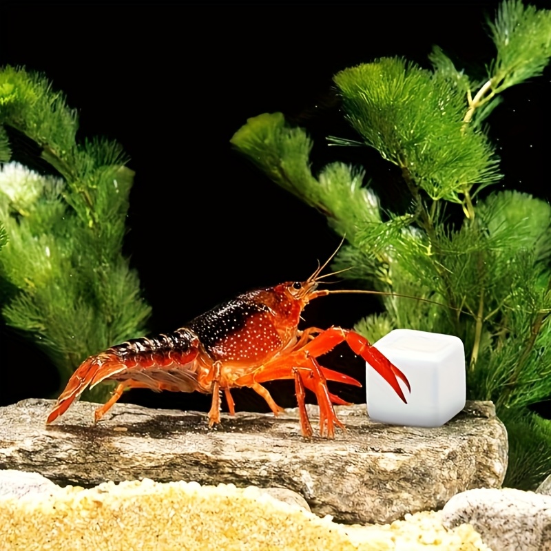 หินแคลเซียมสำหรับตู้ปลา 6 ชิ้น - Aquarium Plants Live บทวิจารณ์และราคา