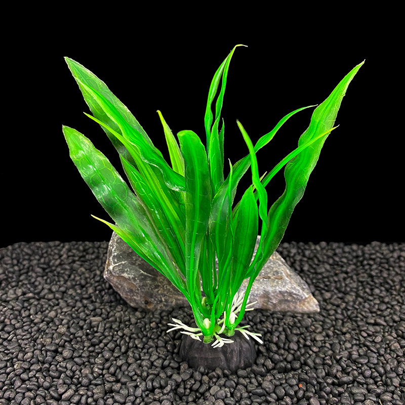 ชุดต้นไม้ประดับตู้ปลา 6 ชิ้น ข - Live Plant Aquarium บทวิจารณ์และราคา